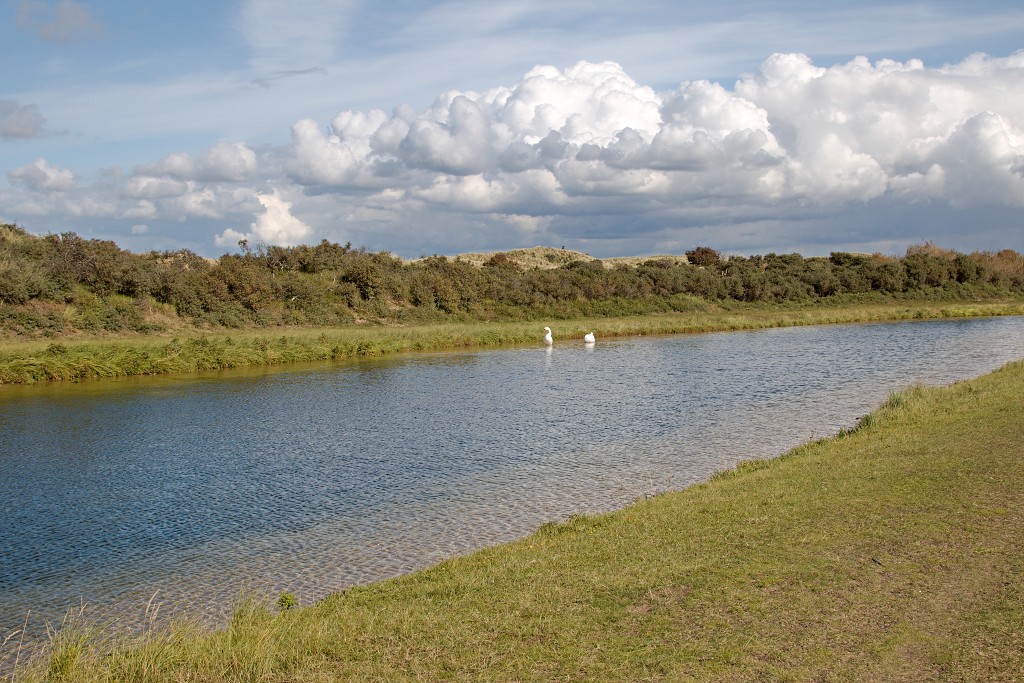 AWD Amsterdamse Waterleidingduinen natuurgebied polder bos vos hert herten damhert duinen zandvoort waterwingebied